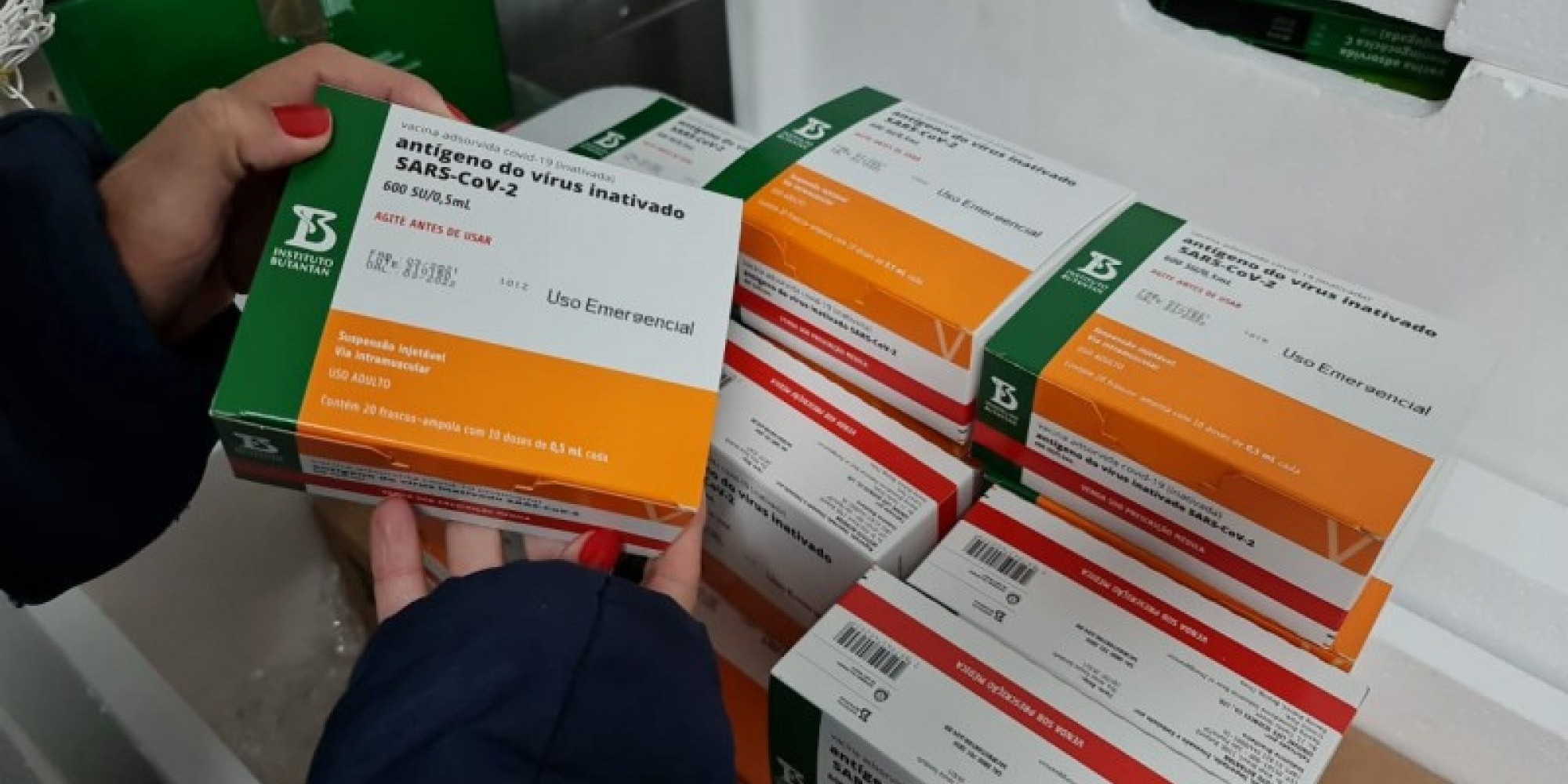 Imunizantes Coronavac que chegaram ao Estado na manhã de sábado serão distribuídos para todo RS 