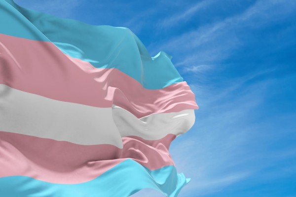 Centro Administrativo do Estado terá iluminação nas cores da bandeira trans em janeiro