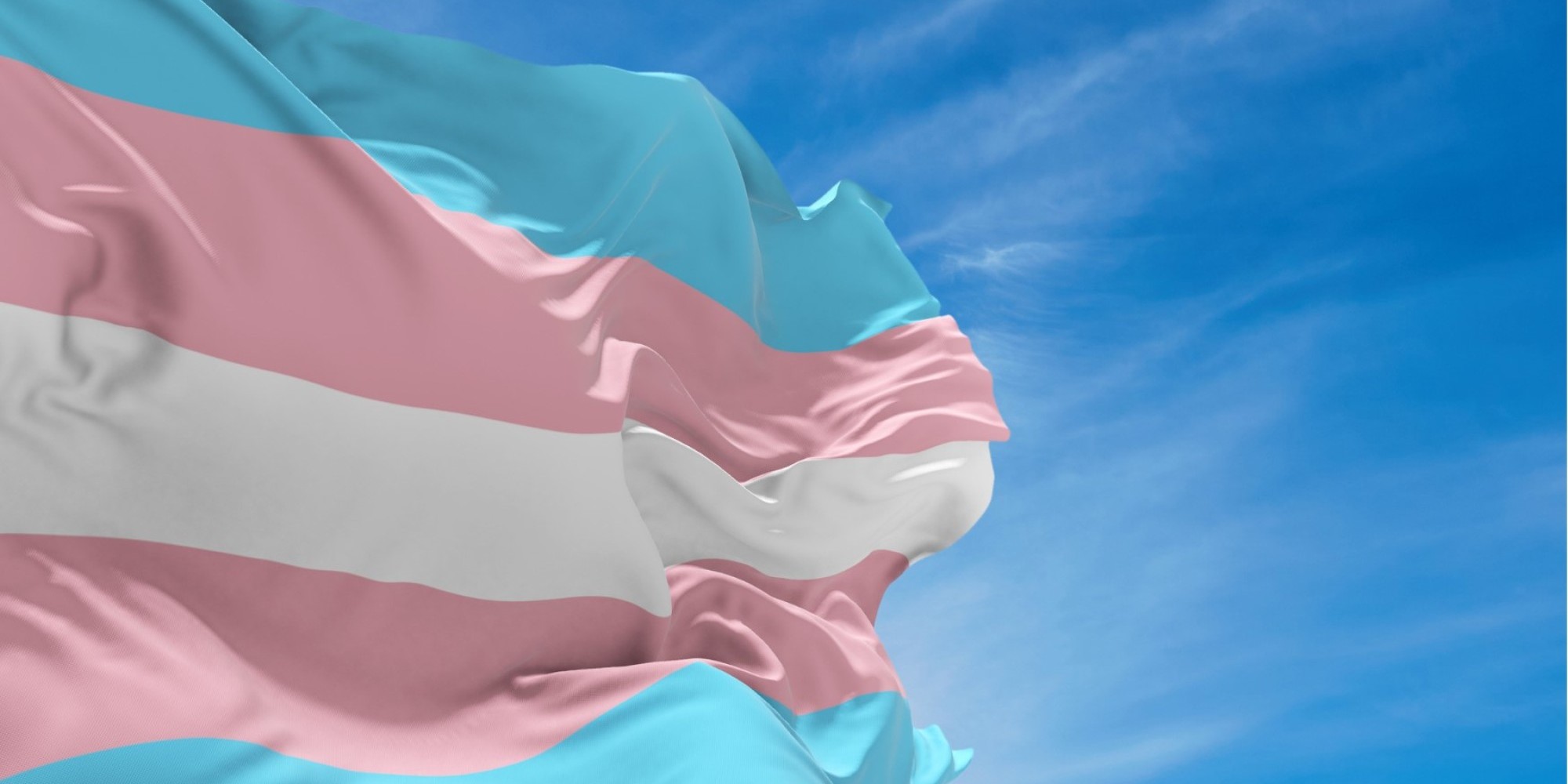 Centro Administrativo do Estado terá iluminação nas cores da bandeira trans em janeiro