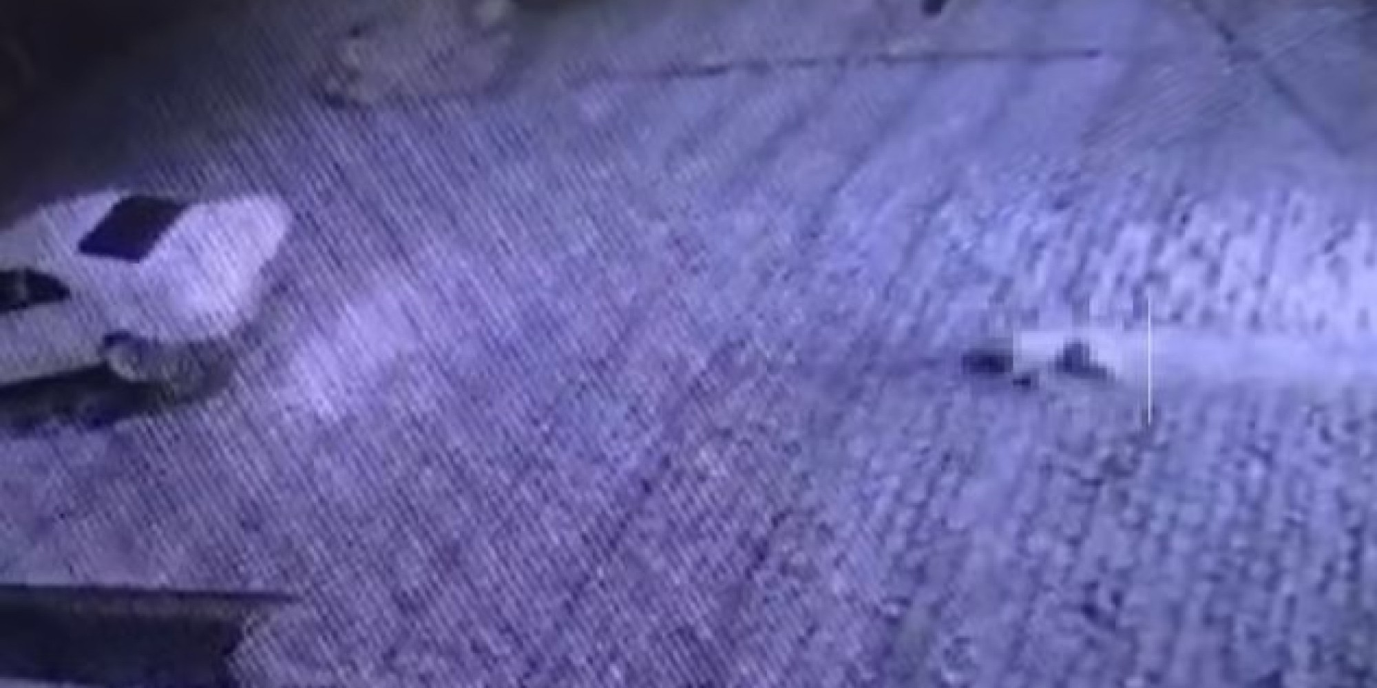 Homem foge após arrastar cachorro amarrado a um automóvel