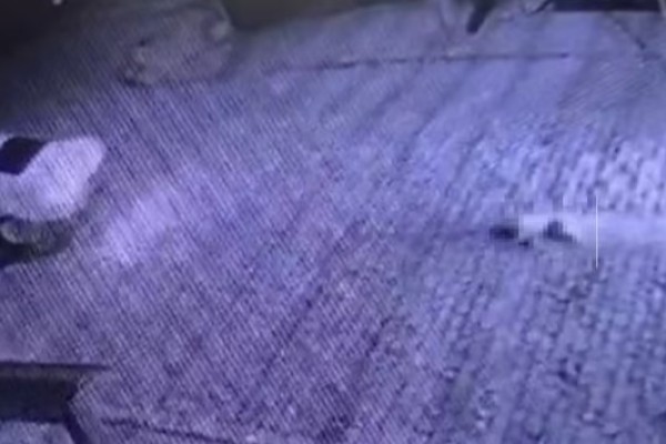 Homem foge após arrastar cachorro amarrado a um automóvel