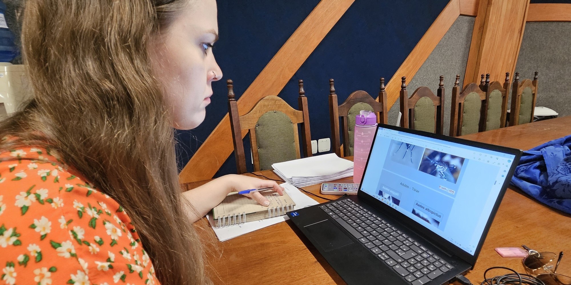 Equipe é treinada para atuar em Laboratório de Entomologia em Encantado