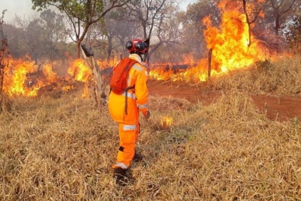 Queimadas: Amazonas registra segundo pior setembro desde 1998