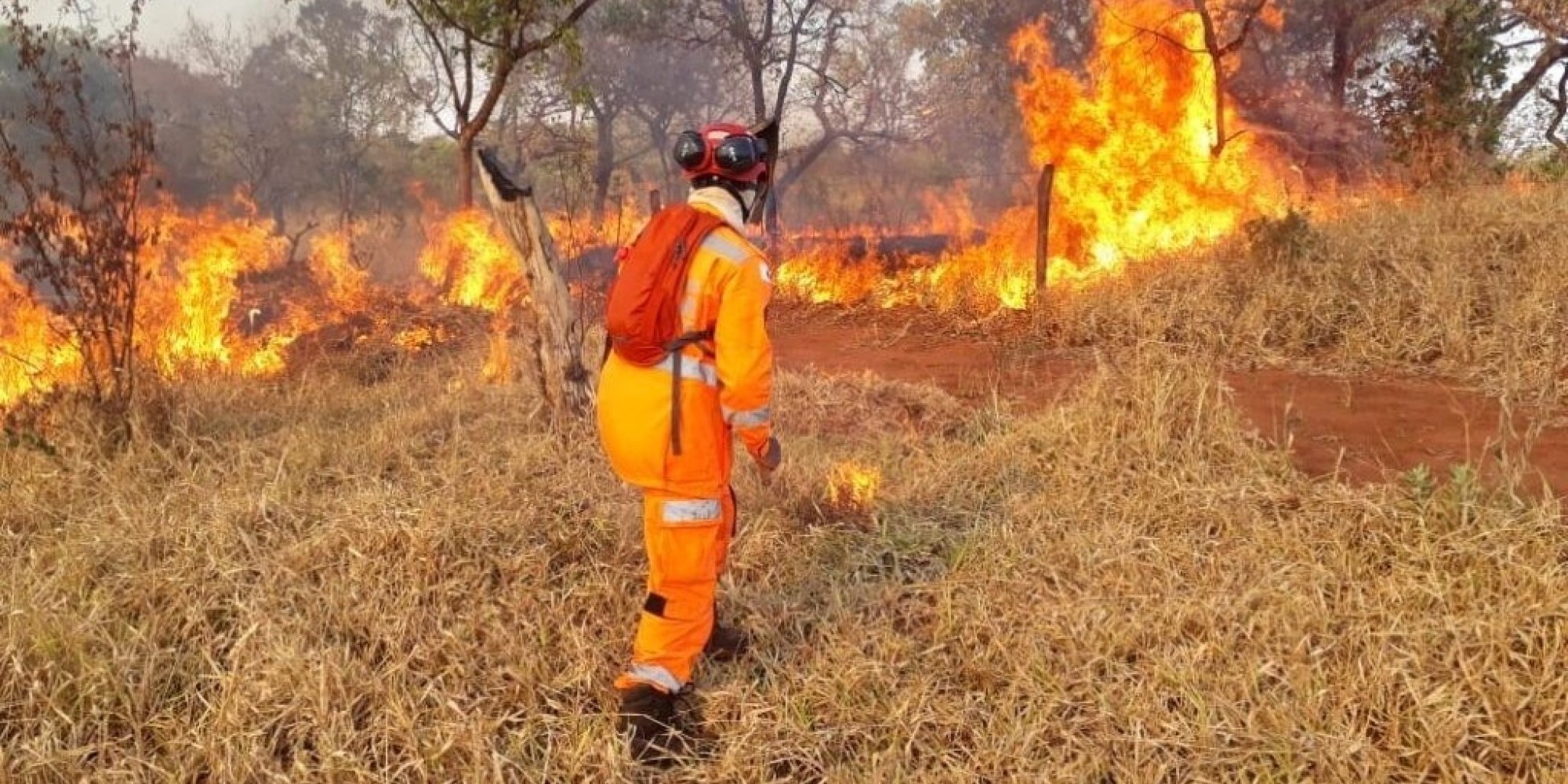 Queimadas: Amazonas registra segundo pior setembro desde 1998