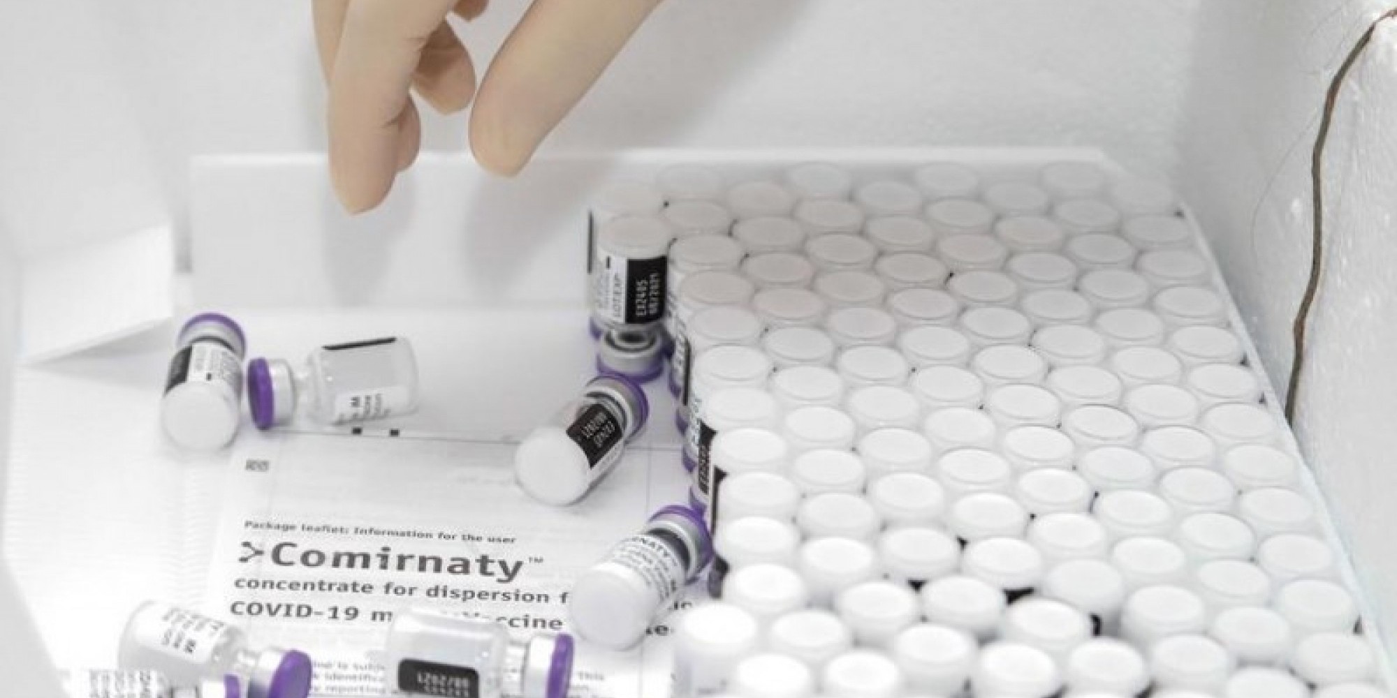 Vacinas serão distribuídas amanha (13)