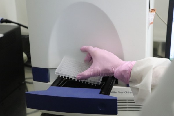  Exame de biologia molecular identifica vírus pela carga genética