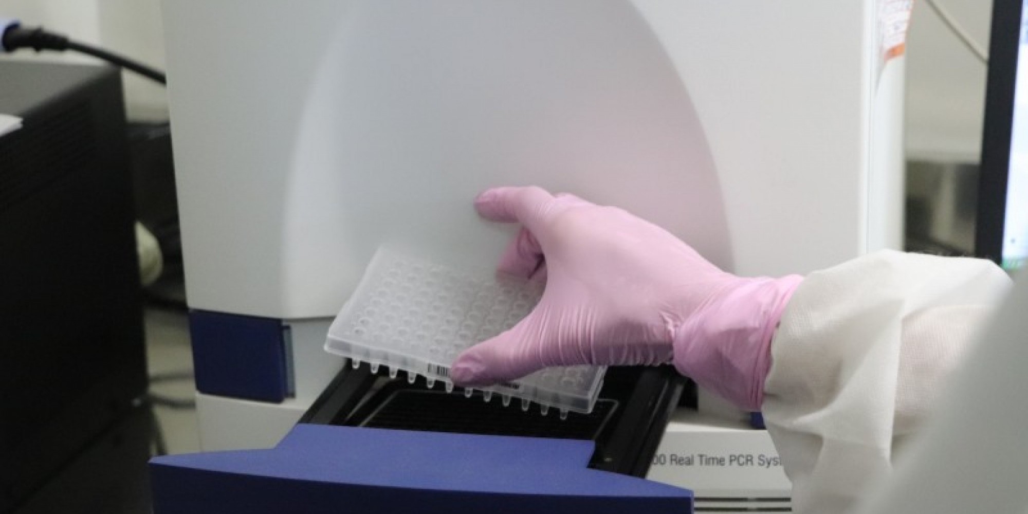  Exame de biologia molecular identifica vírus pela carga genética