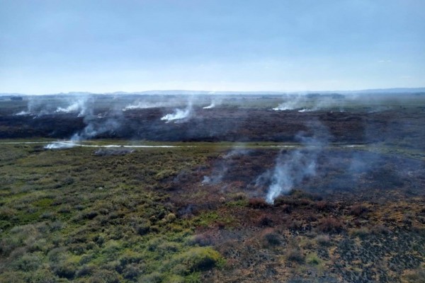  O combate ao incêndio na APA Banhado Grande, em abril, foi feito por uma força-tarefa 