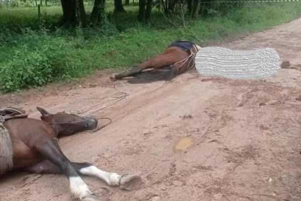 Jovem morre eletrocutado ao encostar em fio solto na região da Campanha