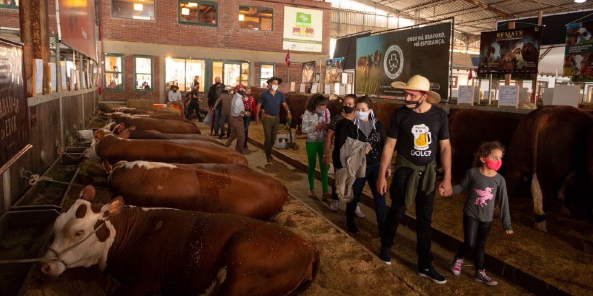Evento ocorre até o dia 12 de setembro 