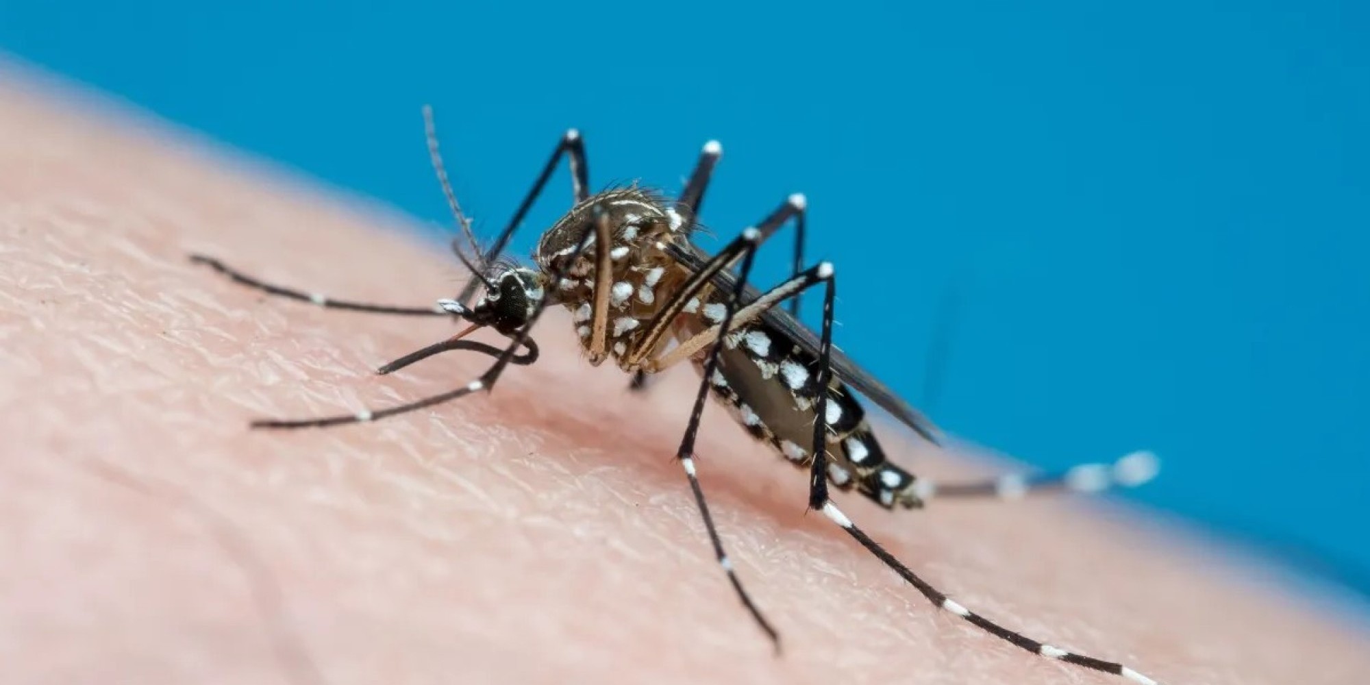 Secretaria da Saúde confirma o segundo óbito por dengue no Estado