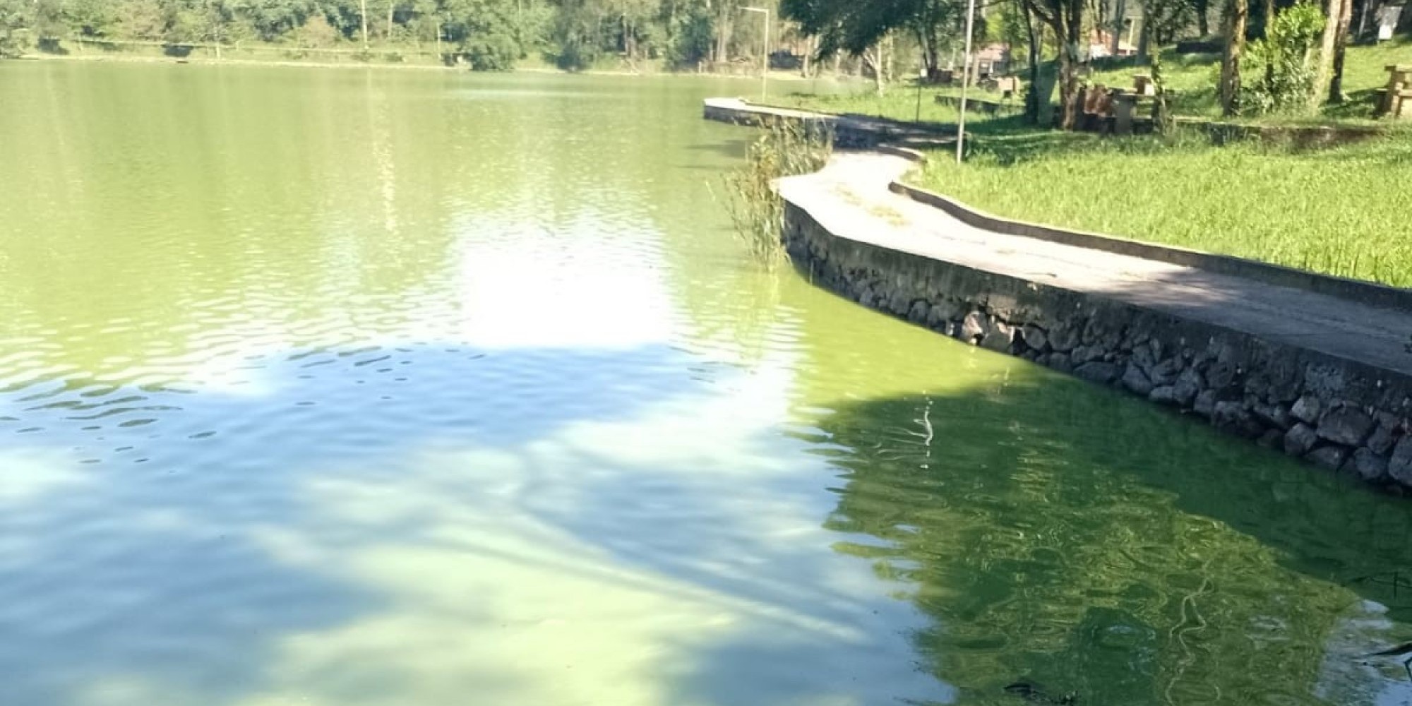 Prefeitura de Encantado monitora proliferação de algas na lagoa da Garibaldi