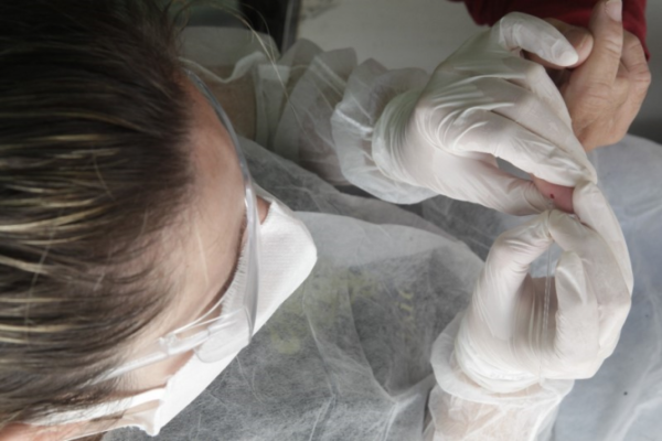 Trabalho busca estimar o percentual da população gaúcha que já contraiu o coronavírus