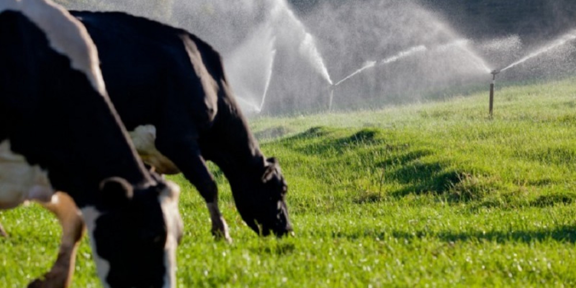 No cálculo do PIB do RS, a agropecuária apresentou queda de 7,1% entre 2017 e 2018 No cálculo do PIB do RS, a agropecuária apresentou queda de 7,1% entre 2017 e 2018