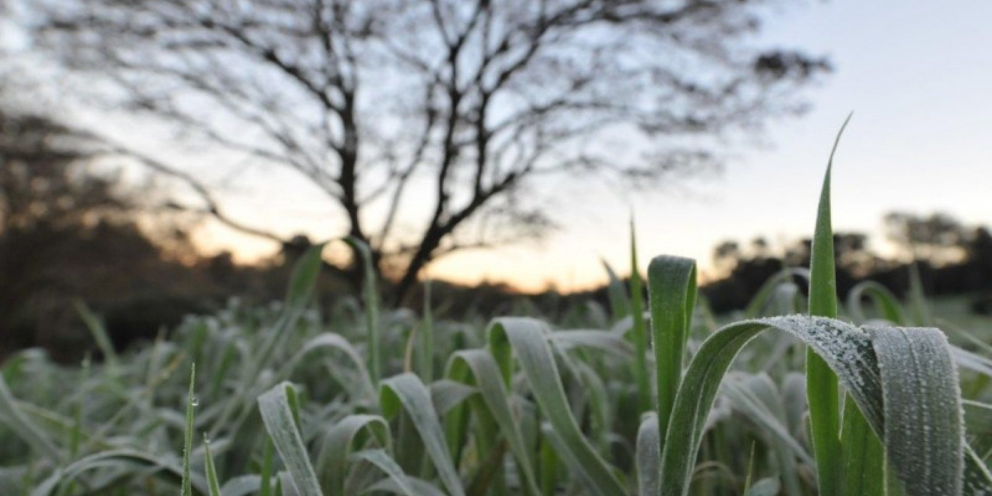 Frio marca a quinta-feira no Estado