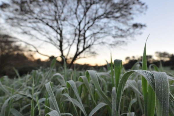 Frio marca a quinta-feira no Estado