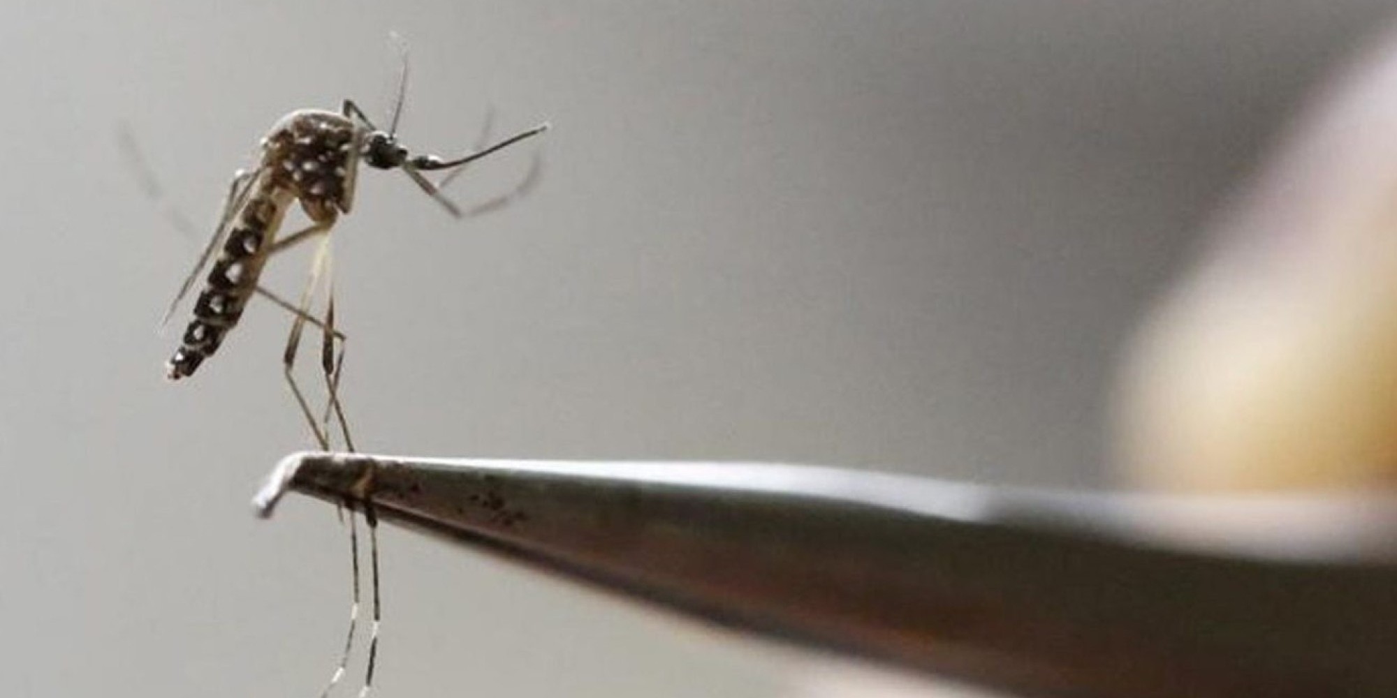 RS registra a terceira morte por dengue neste ano