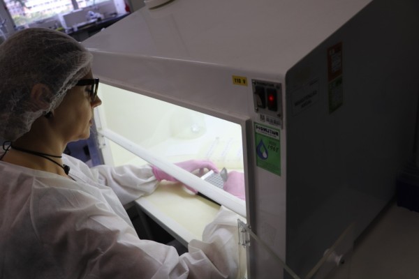 Coqueiro baixo espera resultado de amostra pelo Lacen de Porto Alegre