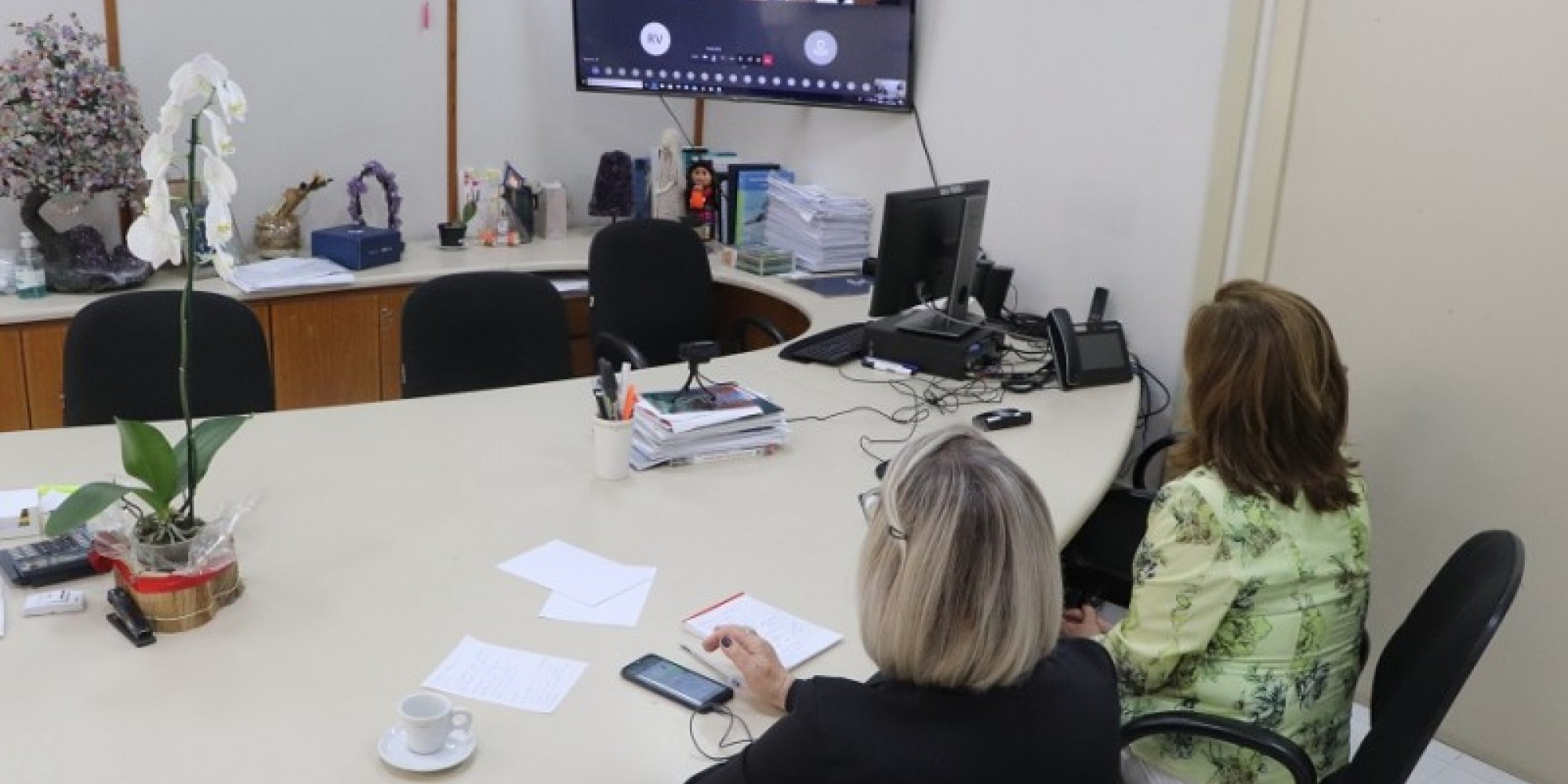 Secretária Arita participou de reunião que tratou da distribuição da vacina, que deve começar em 2021 