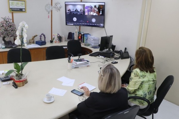 Secretária Arita participou de reunião que tratou da distribuição da vacina, que deve começar em 2021 