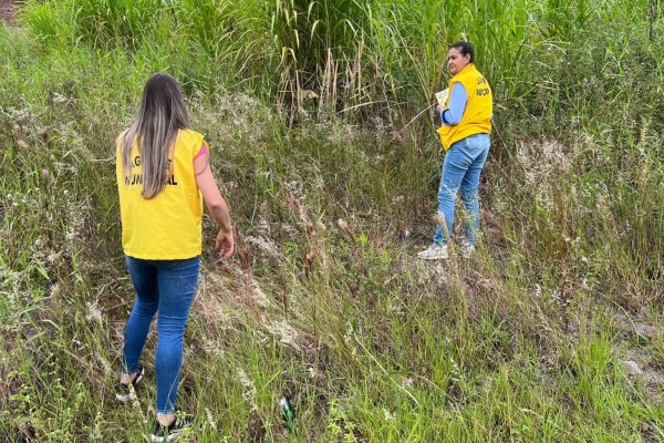 Morador que não cuidar do seu terreno vai pagar mais imposto
