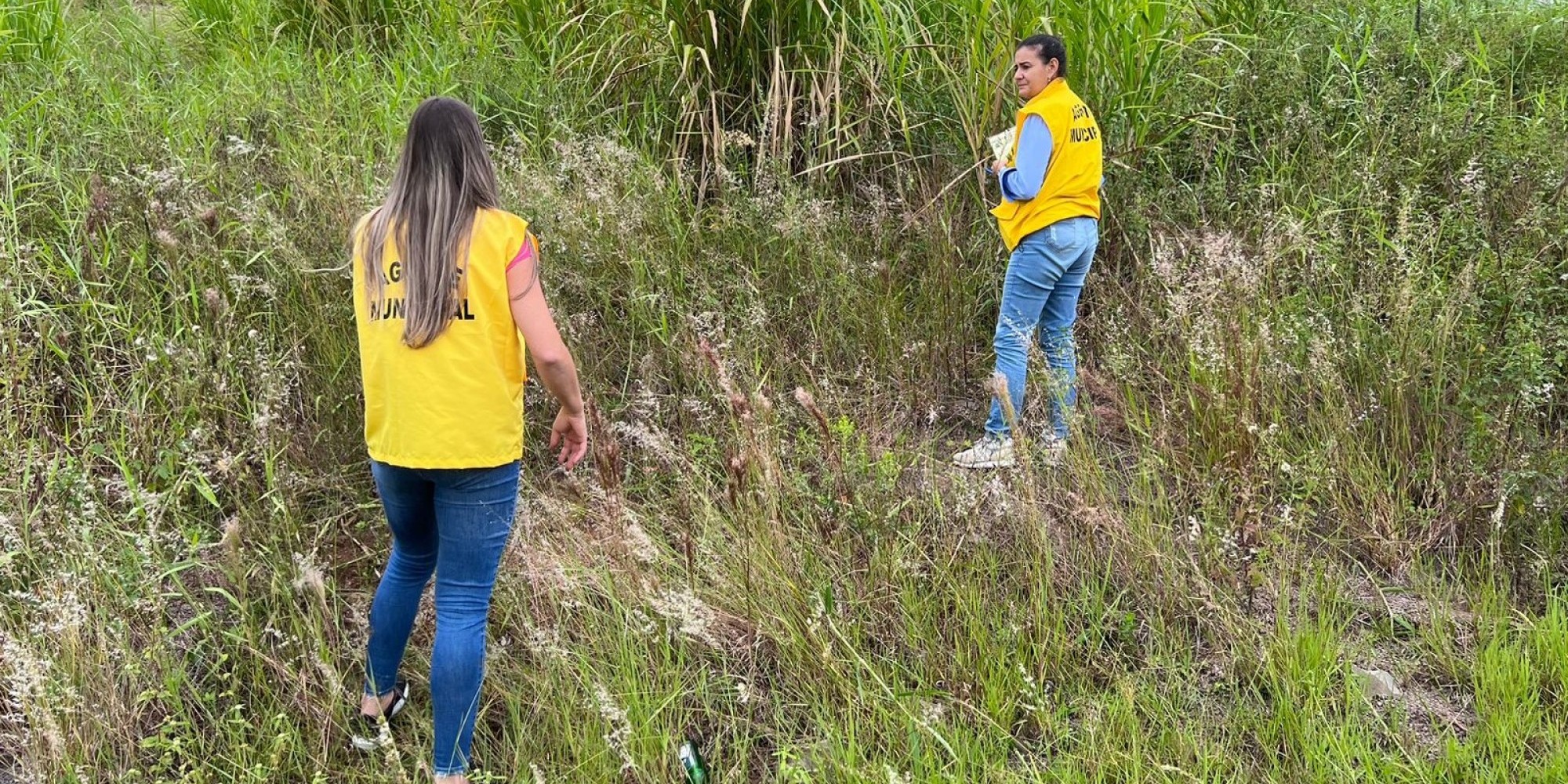 Morador que não cuidar do seu terreno vai pagar mais imposto