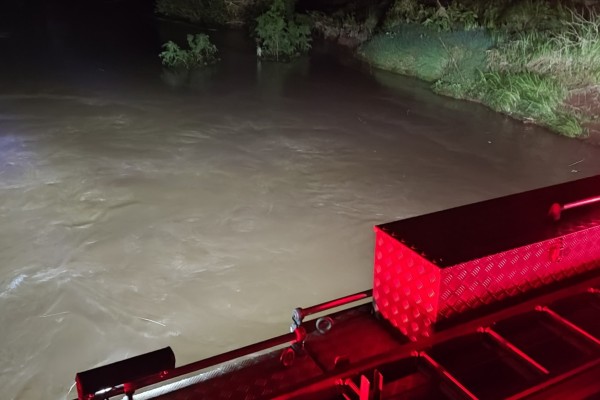 Jovem cai com carro de uma ponte e sobrevive agarrada nos galhos de uma árvore