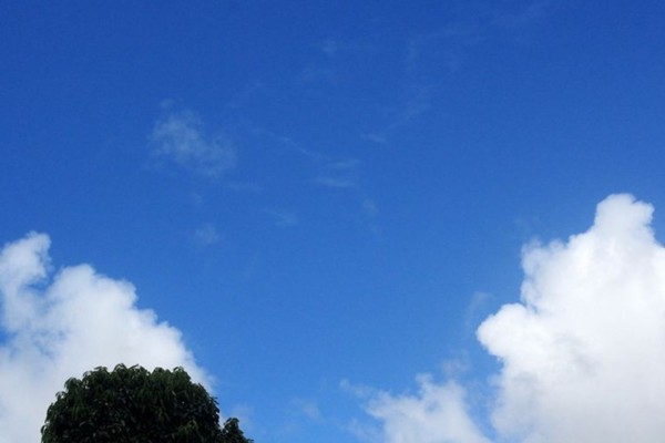 Segunda-feira será ensolarada e com temperatura agradável no Vale