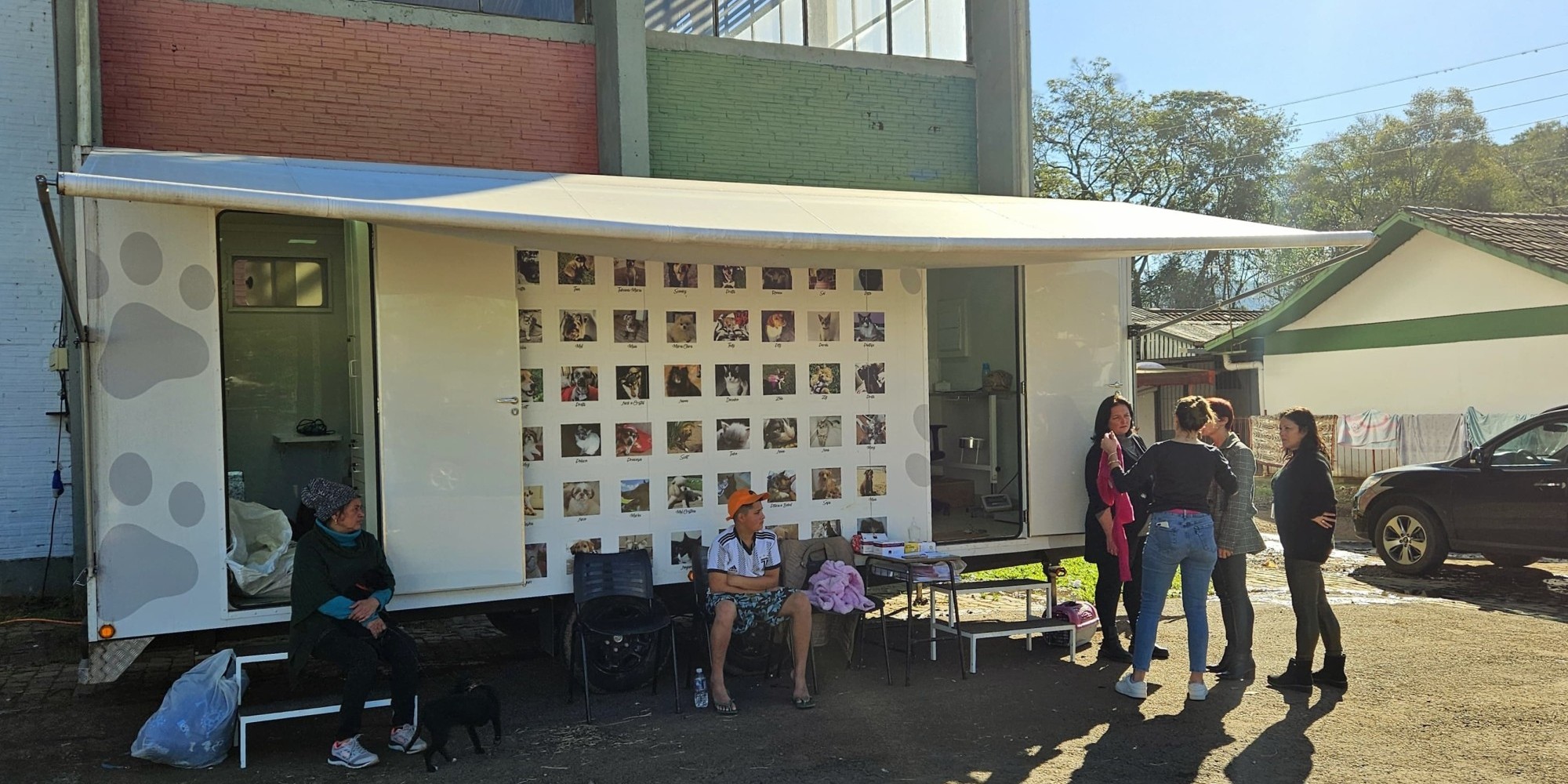 Mutirão de castração acontece em Encantado a partir de 1º de agosto