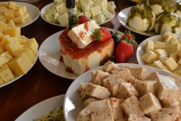 Festiqueijo oferece experiência de provar 46 tipos de queijo