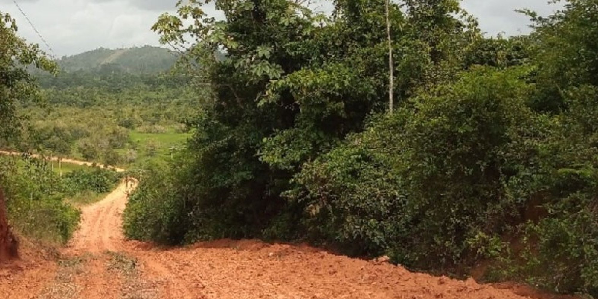 Feto é encontrado morto abandonado em meio a mata