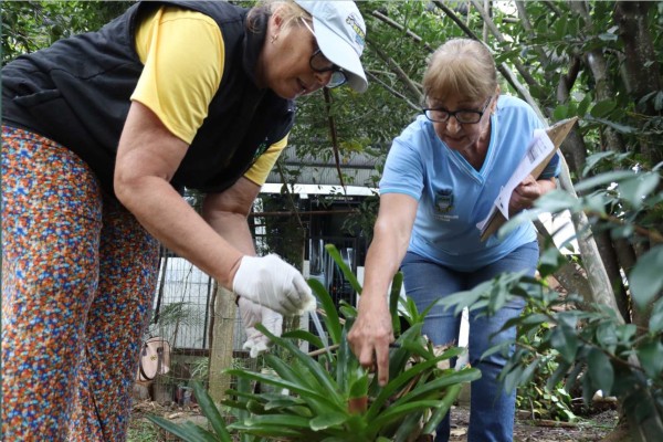 Em Muçum agentes atuam no combate à dengue
