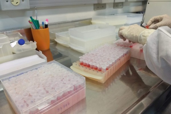  Média diária de amostras enviadas alcançou 1,2 mil