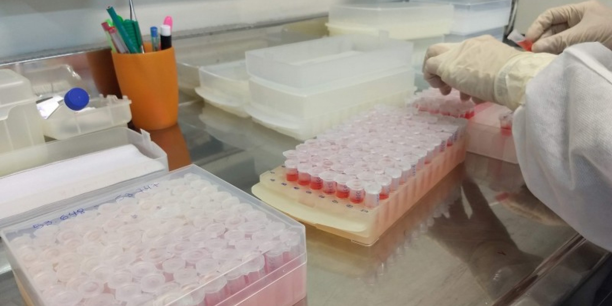  Média diária de amostras enviadas alcançou 1,2 mil