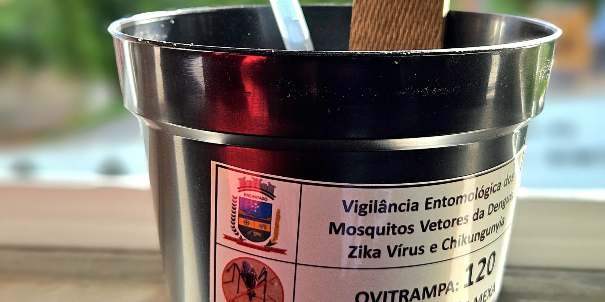 Prefeitura iniciou novo ciclo de monitoramento da Dengue