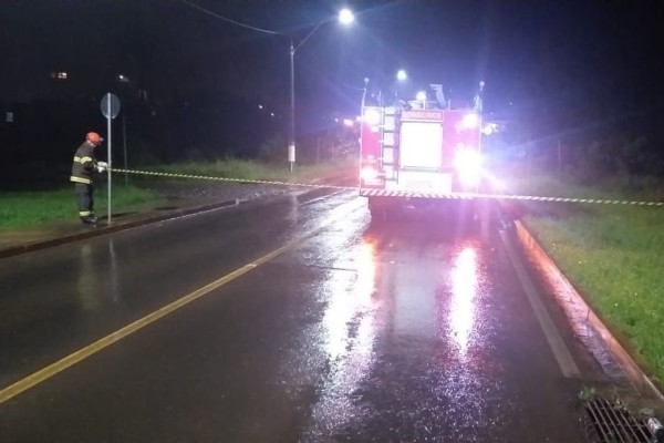 Fortes ventos causam a queda de árvores