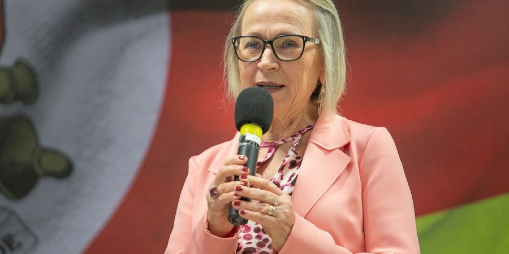 -Ainda podemos atingir a meta -, disse a secretária Estadual da Saúde Arita Bergmann