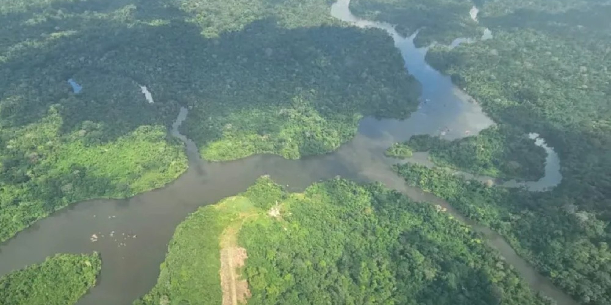 Ocupantes de helicóptero que caiu na Amazônia são encontrados com vida
