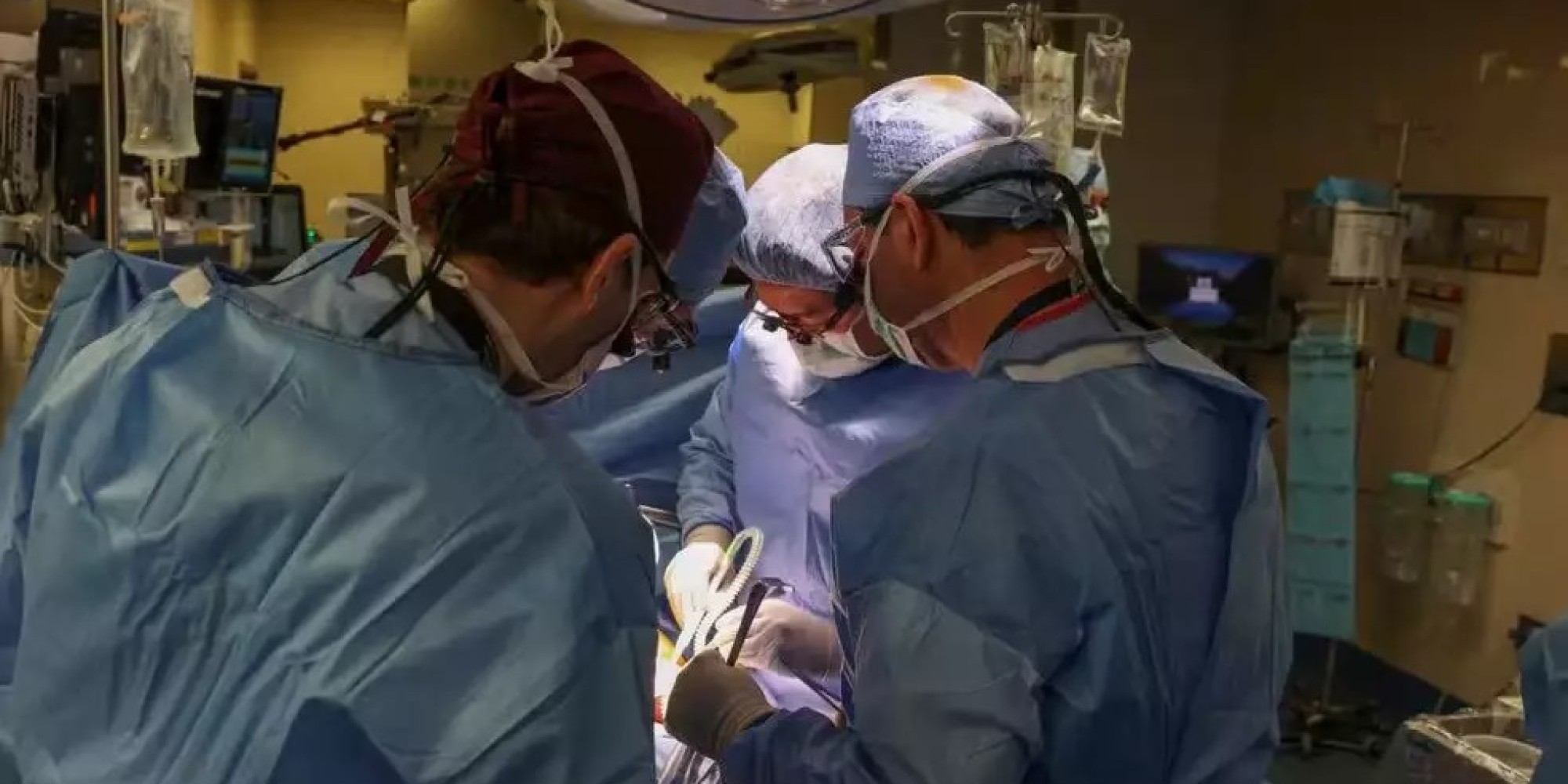 Médico brasileiro faz nos EUA o primeiro transplante de rim de porco em ser humano