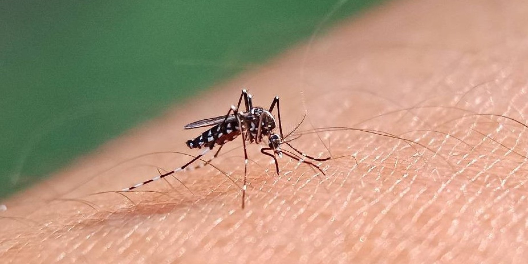 Brasil supera a marca de 2 milhões de casos de dengue em 2024