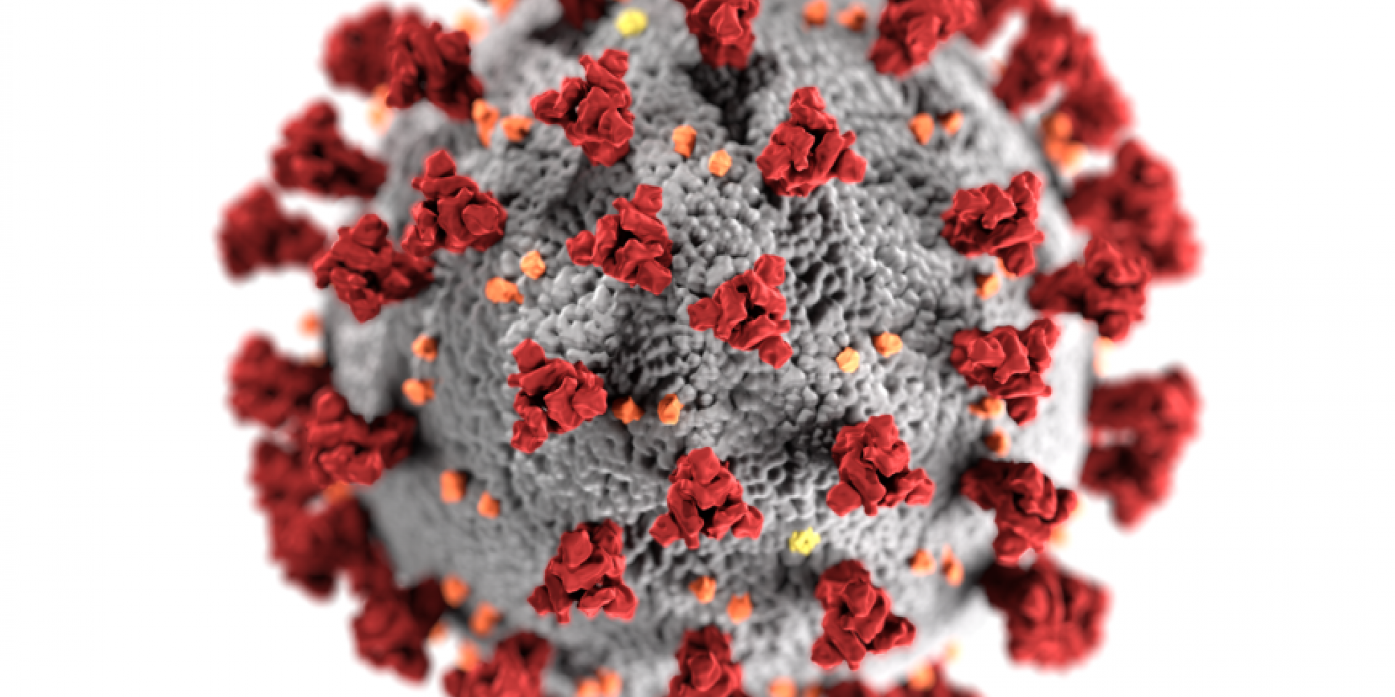 País teve 612 novas mortes nas últimas 24h 