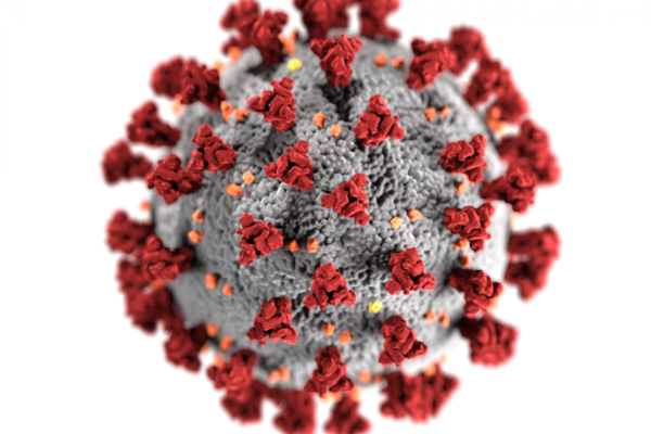 País teve 612 novas mortes nas últimas 24h 