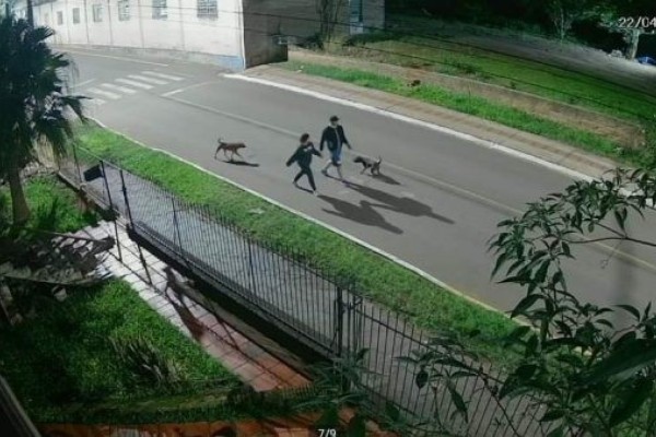 Em Bom Retiro do Sul, casal é suspeito de jogar cachorro em arroio