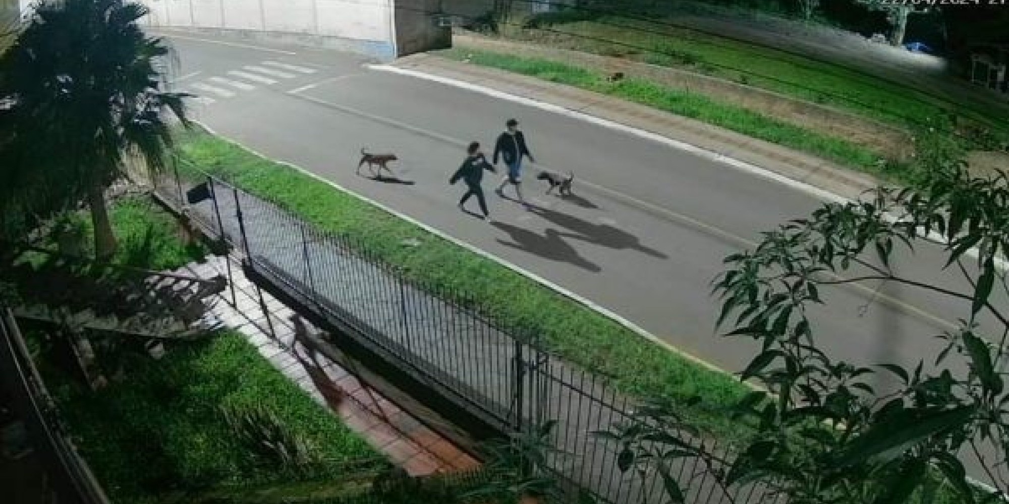 Em Bom Retiro do Sul, casal é suspeito de jogar cachorro em arroio