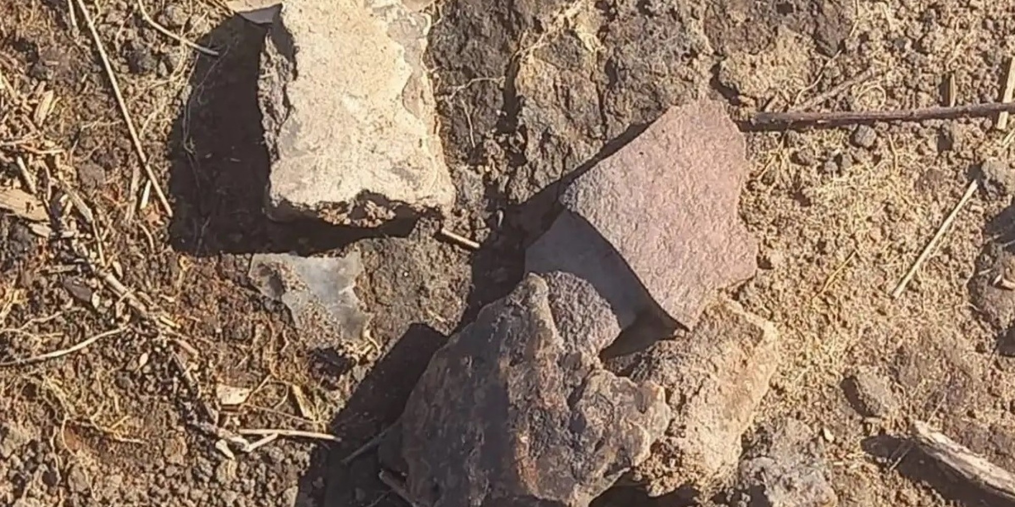 Sítio arqueológico de 10 mil anos é encontrado em lavoura de arroz