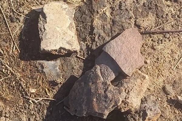 Sítio arqueológico de 10 mil anos é encontrado em lavoura de arroz