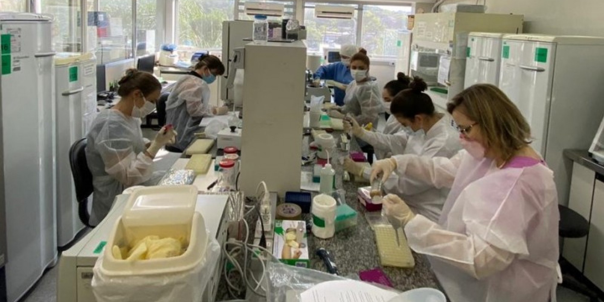 Treinamento é conduzido por dua biólogas da Universidade de São Paulo (USP)