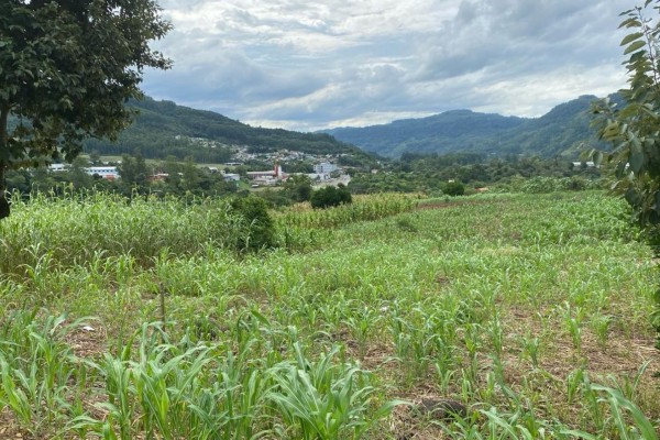 Encantado conquista terreno para construção de casas populares