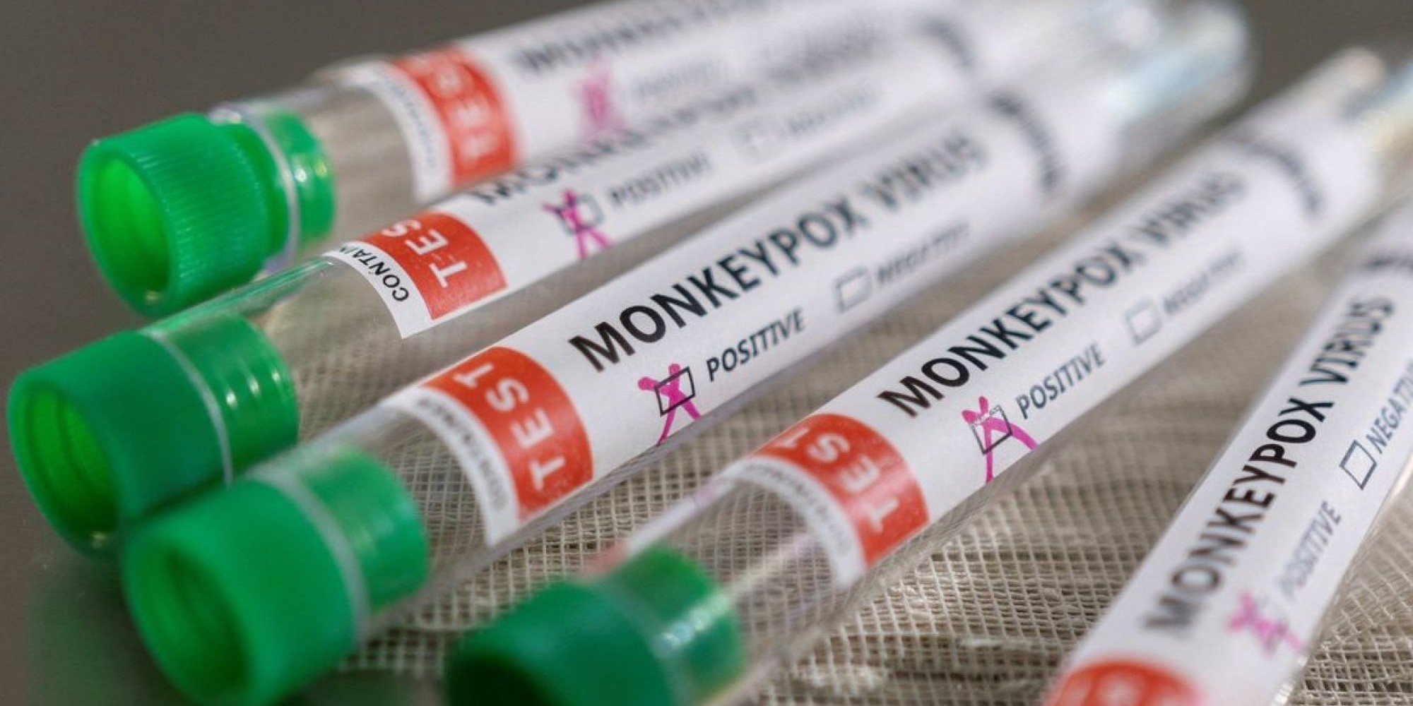 Brasil tem 106 casos de varíola dos macacos