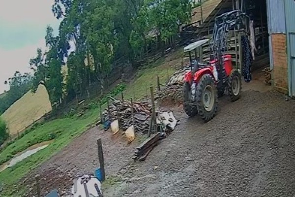 Homem morre ao se ferir quando carneava um porco